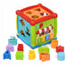 Cub educational - interactiv cu sunete, Baby Mix