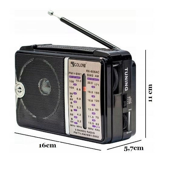 Radio FM portabil, Pe curent sau baterii, Negru